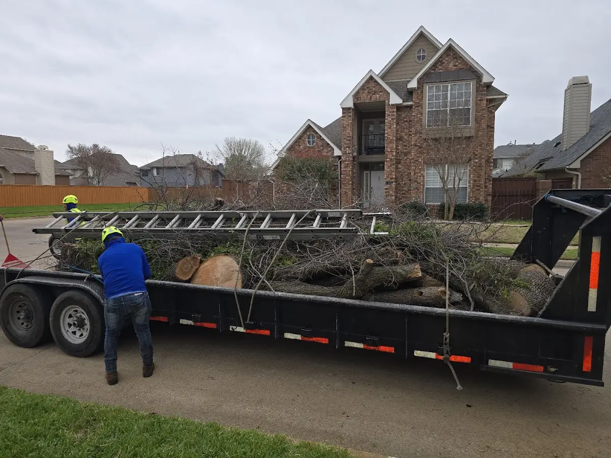 Expert Tree Fertilization with proper safety equipment in Sun Valley